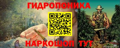 дурь Лесосибирск