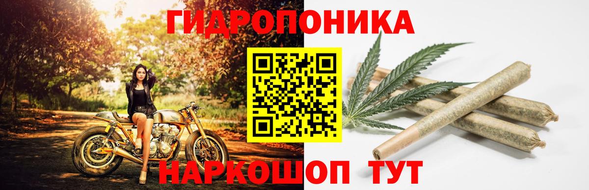 Бошки Шишки марихуана  Вход с VPN  Александров  Канабис SATIVA & INDICA  Канабис конопля 